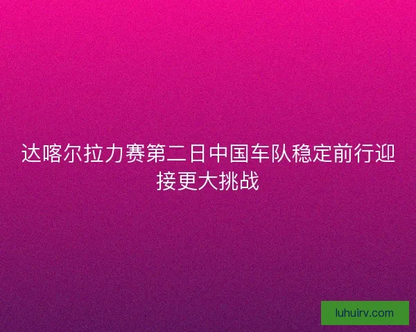 达喀尔拉力赛第二日中国车队稳定前行迎接更大挑战